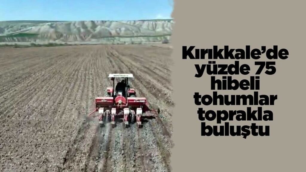 kirikkale’de-yuzde-75-hibeli-tohumlar-toprakla-bulustu