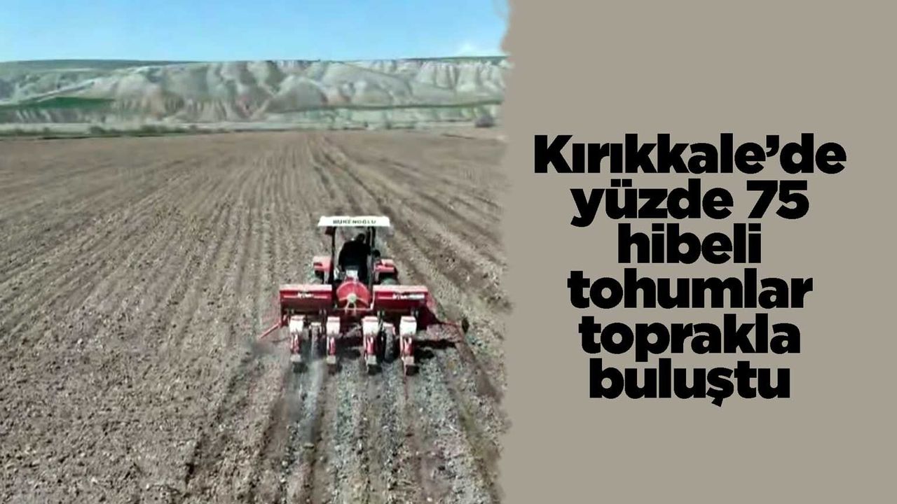 kirikkale’de-yuzde-75-hibeli-tohumlar-toprakla-bulustu