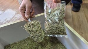 dikkat-daginikligi-icin-kullanilabilecek-bitkisel-urunler