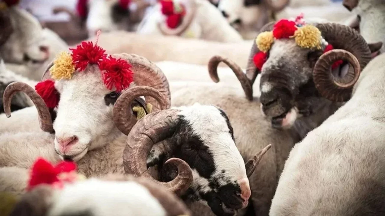 vekaletle-kurban-kesim-ucretleri-aciklandi