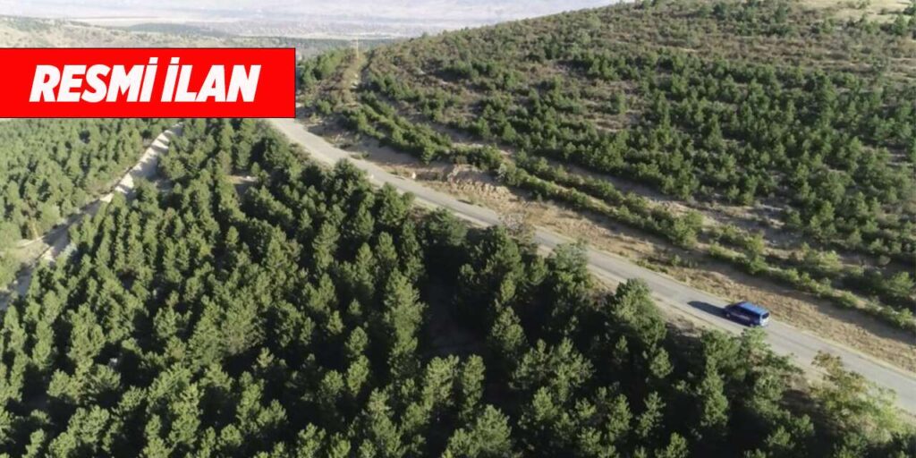 kirikkale-orman-mudurlugu-resmi-ilan