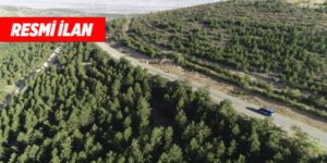 kirikkale-orman-mudurlugu-resmi-ilan