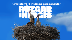 esnafin-merakla-bekledigi-ruzgar-ve-nergis,-4’uncu-yilinda-da-ayni-yuvaya-dondu