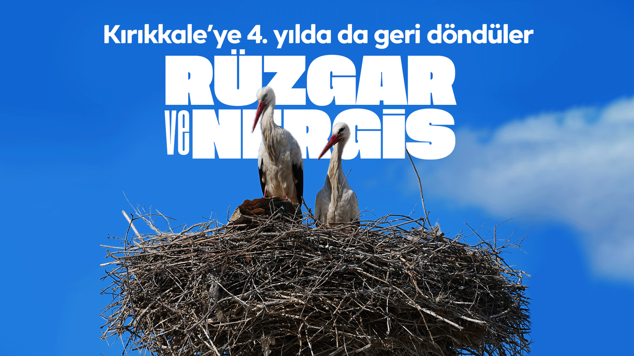 esnafin-merakla-bekledigi-ruzgar-ve-nergis,-4’uncu-yilinda-da-ayni-yuvaya-dondu