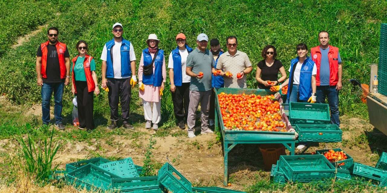 haydi-gencler,-kirikkale’de-hasat-vakti