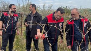 kirikkale’de-ureticilere-uygulamali-budama-egitimi