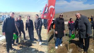 celebi’de-fidanlar-toprakla-bulustu