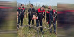 ureticilere-uygulamali-budama-egitimi-veriliyor