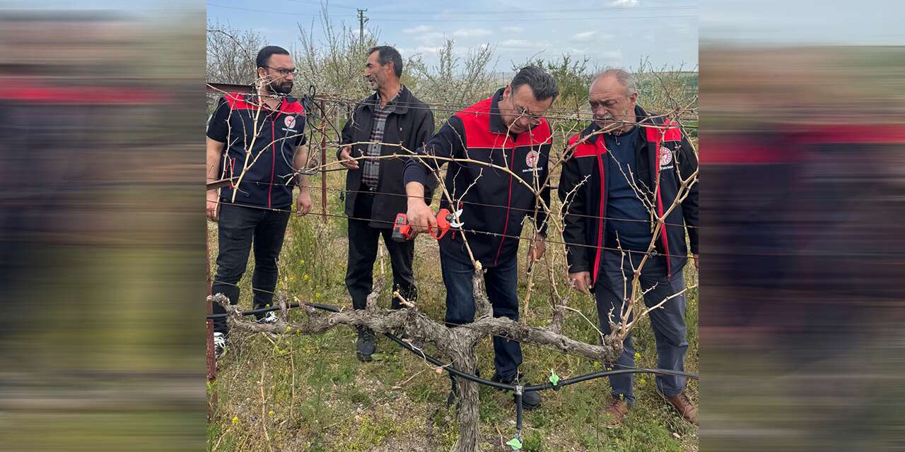 ureticilere-uygulamali-budama-egitimi-veriliyor