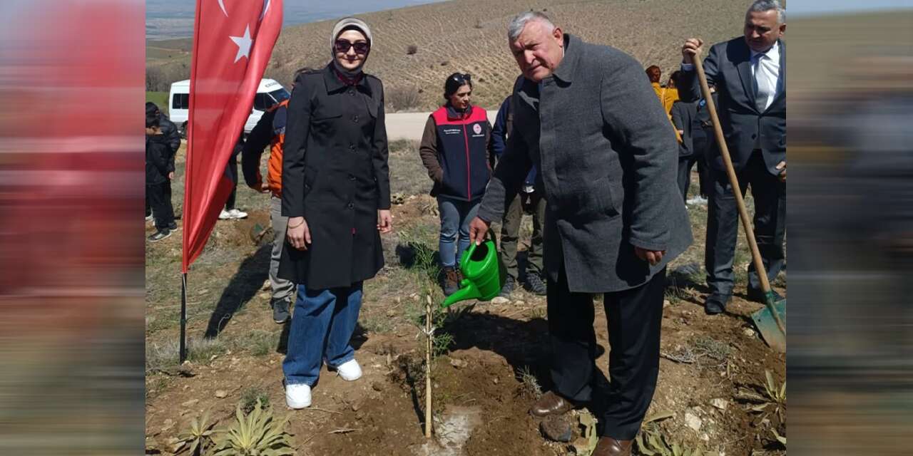 celebi’de-fidanlar-toprakla-bulustu