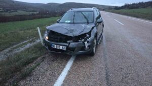 aracin-carptigi-geyik-telef-oldu