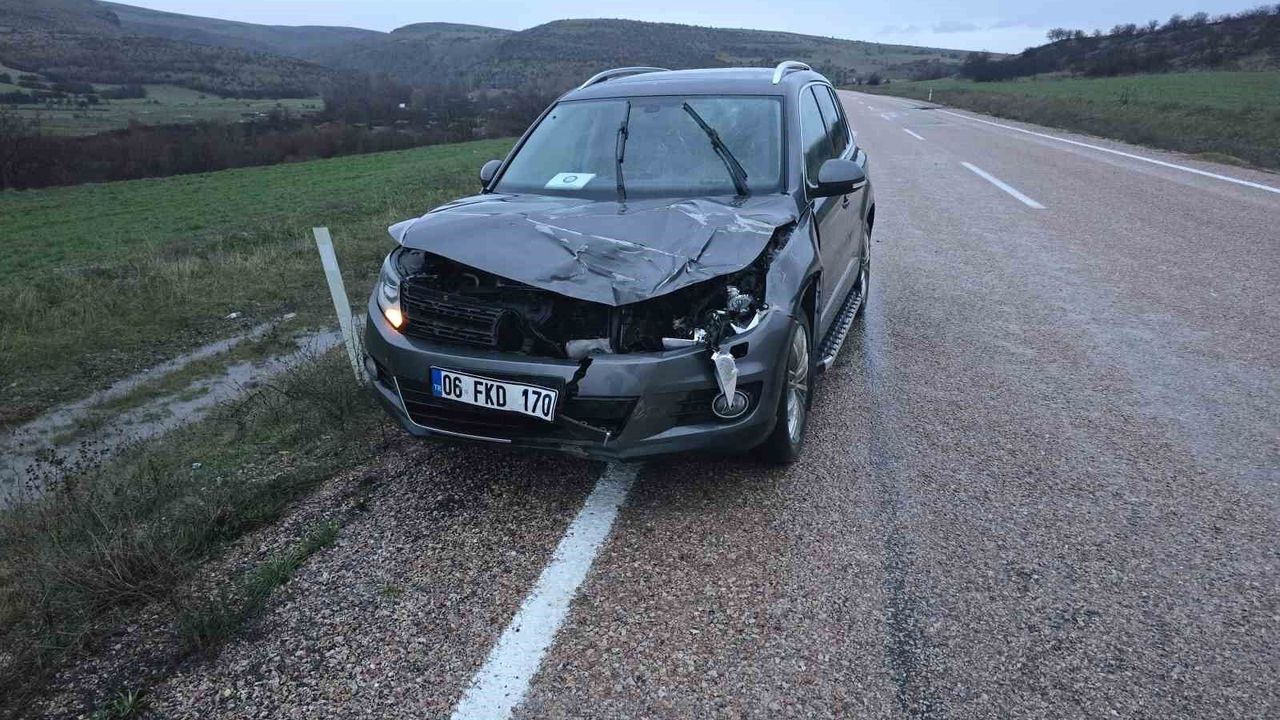 aracin-carptigi-geyik-telef-oldu