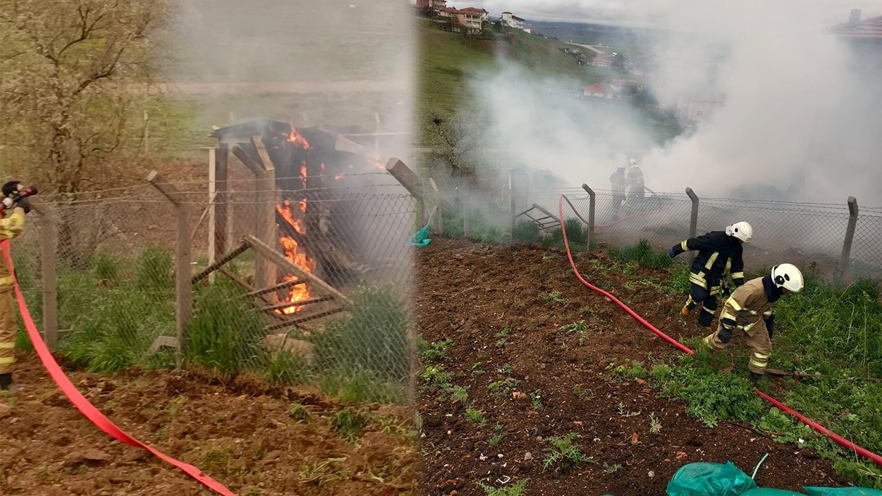 kirikkale’de-kamelya-yangini-panik-yaratti