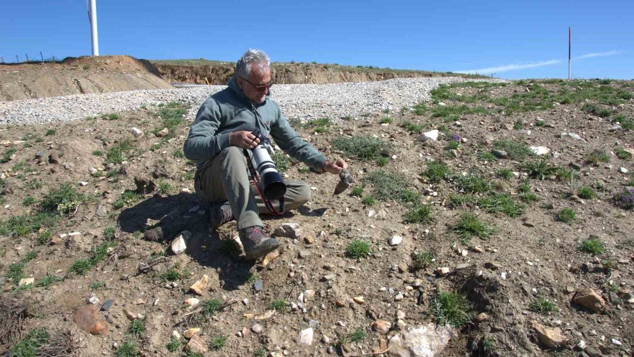 17-yeni-memeli-turu-kesfedildi