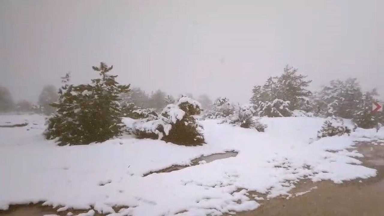 bahari-beklerken-kar-geldi