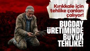 bugday-uretiminde-buyuk-tehlike!