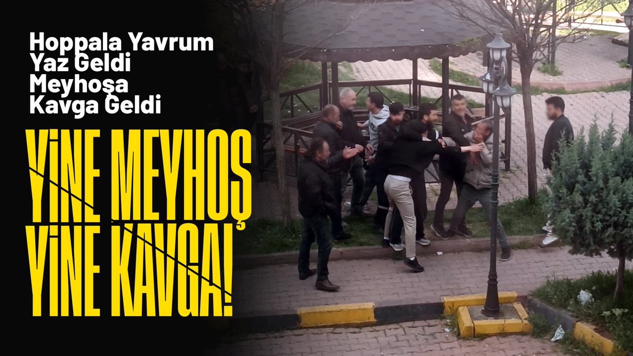 meyhos-parkinda-kavga-cikti!