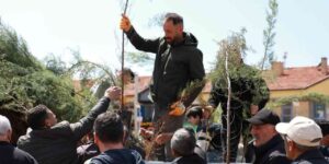 alaca-belediyesi-vatandaslara-2-bin-fidan-dagitti