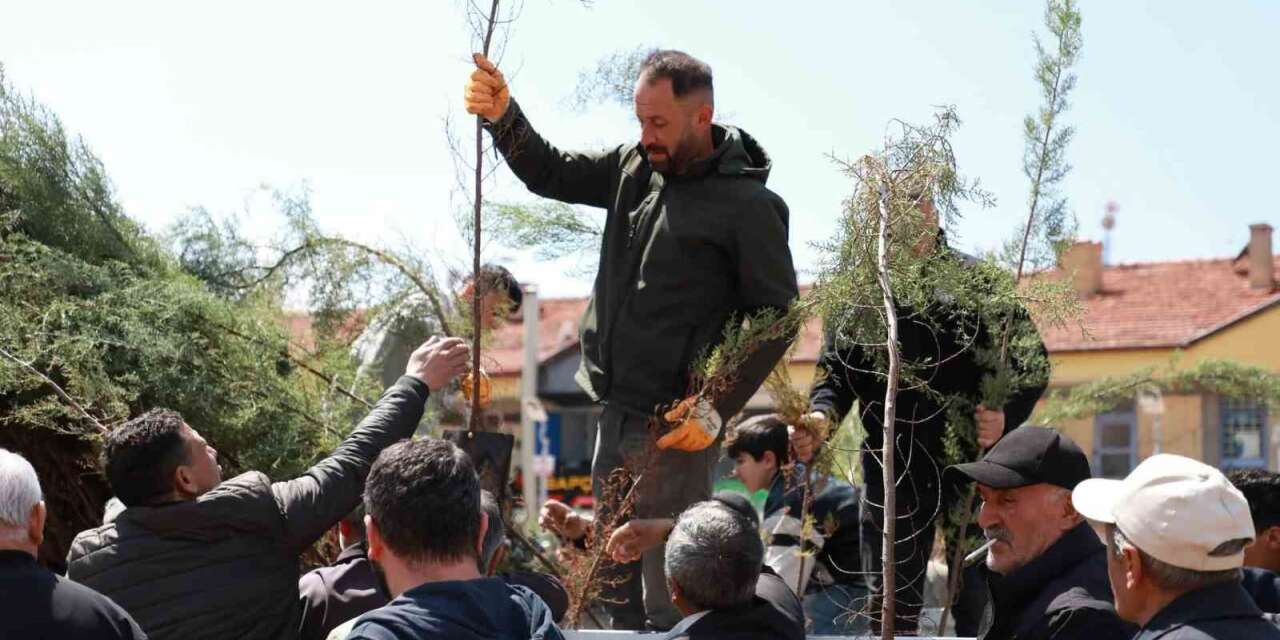 alaca-belediyesi-vatandaslara-2-bin-fidan-dagitti