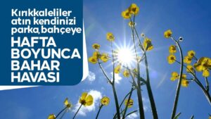 kirikkale’de-bahar-yuzunu-gosteriyor:-sicakliklar-artiyor