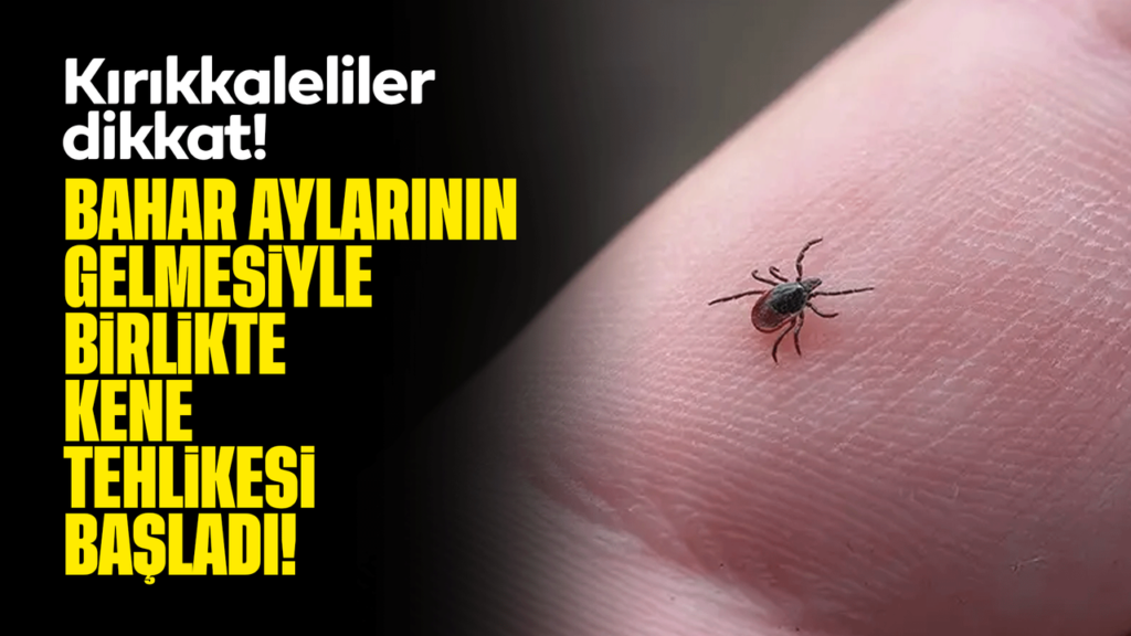 kirikkaleliler-dikkat!-bahar-aylarinin-gelmesiyle-birlikte-kene-tehlikesi-basladi!