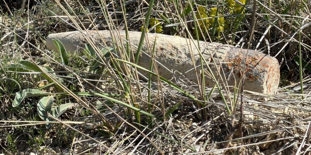 mantar-ararken-patlamamis-top-mermisi-buldu