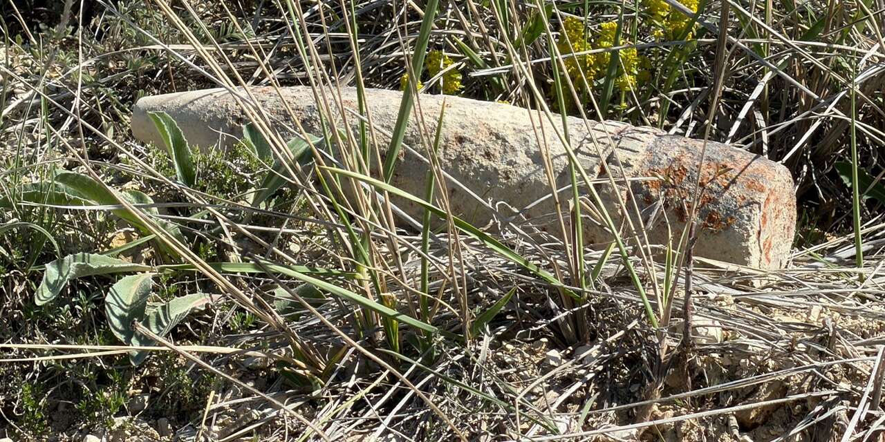 mantar-ararken-patlamamis-top-mermisi-buldu