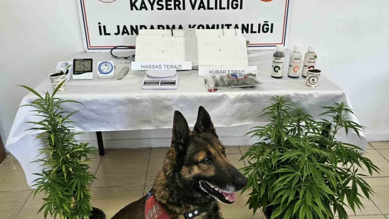 kayseri’de-uyusturucu-operasyonu