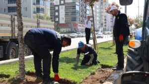 Kırıkkale’de Orta Refüjler Yeşilleniyor
