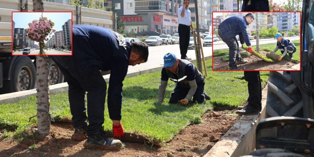 kirikkale’de-refujlere-yesil-dokunus:-ekipler-gece-gunduz-mesaide!