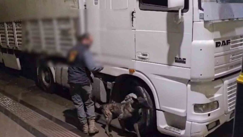 12-kilo-uyusturucu-ele-gecirildi:-2-tutuklama