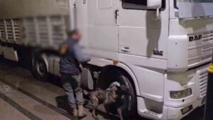 12 kilo uyuşturucu ele geçirildi: 2 tutuklama
