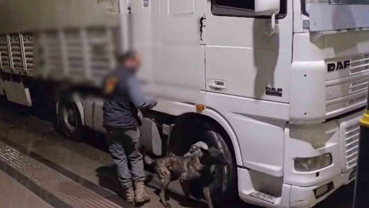 12-kilo-uyusturucu-ele-gecirildi:-2-tutuklama