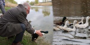 cocuklarin-yeni-oyun-arkadaslari-geldi!-kirikkale’nin-yeni-sakinleri-goreve-basladi