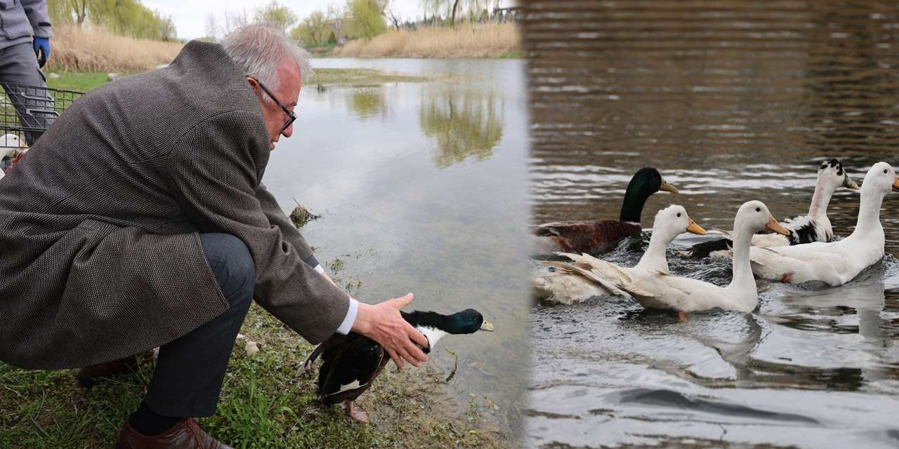 cocuklarin-yeni-oyun-arkadaslari-geldi!-kirikkale’nin-yeni-sakinleri-goreve-basladi