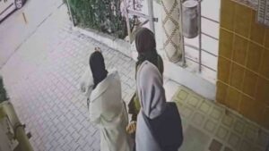 ev-fareleri-kameraya-yakalandi