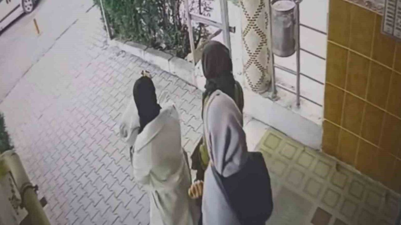 ev-fareleri-kameraya-yakalandi