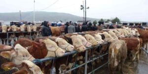 yagisli-havaya-aldiris-etmeyen-ureticiler-ve-alicilar-bu-pazarda-bulusuyor