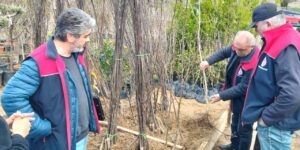 fidanlik-ve-satis-bayilerine-siki-denetim