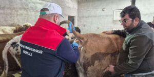 kirikkale’de-kirmizi-alarm-verildi:-tek-tek-asilaniyor