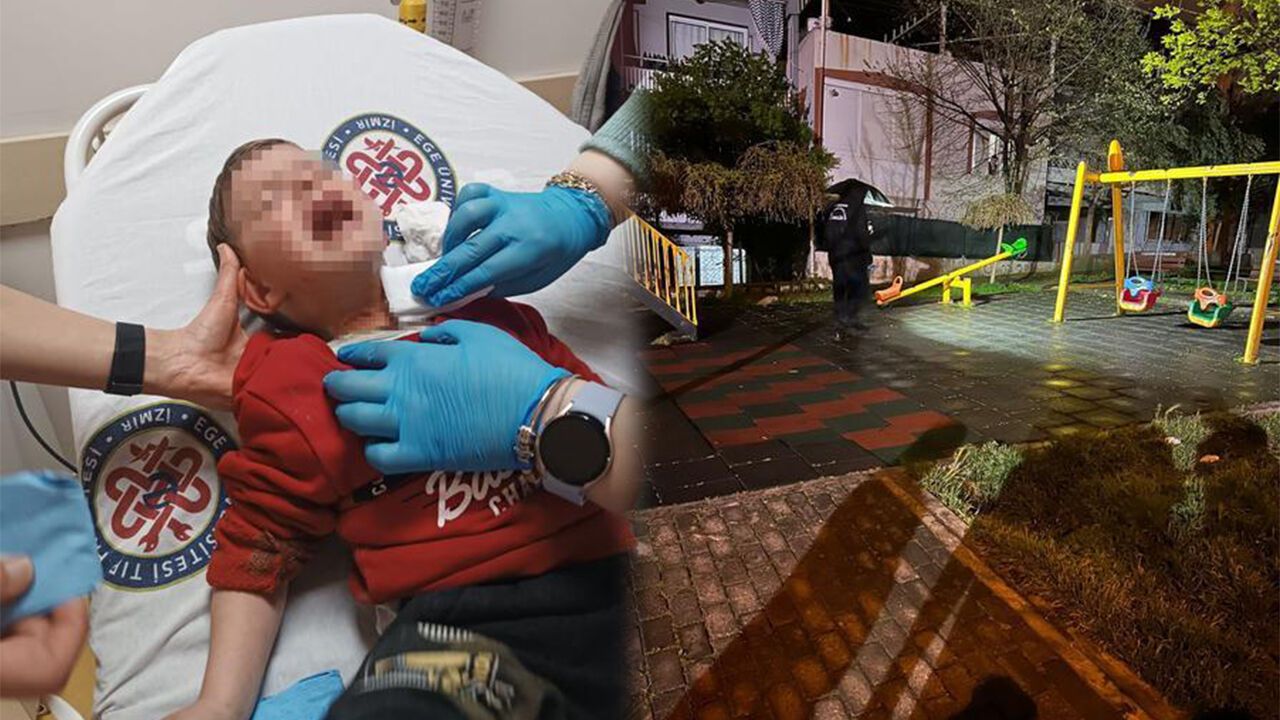 parkta-oynayan-cocuga-bicakli-saldiri