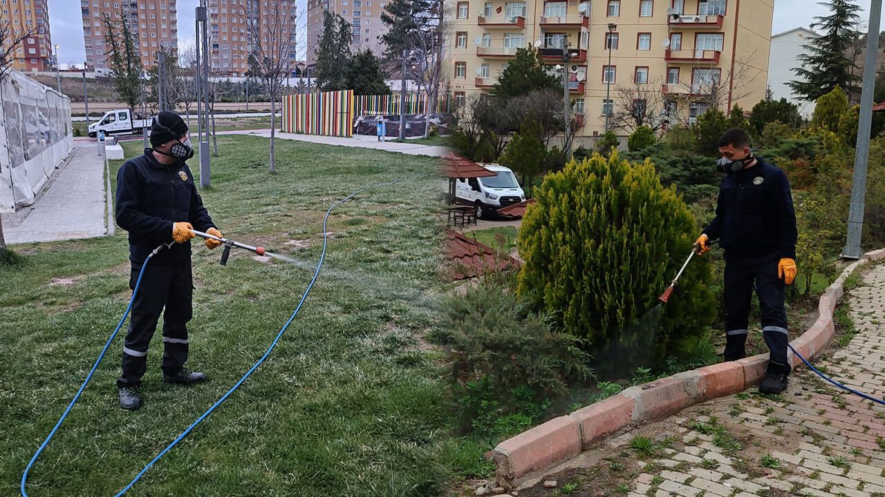 kirikkale’de-hasereyle-mucadele-basladi