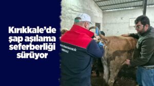 kirikkale’de-sap-asilama-seferberligi-suruyor