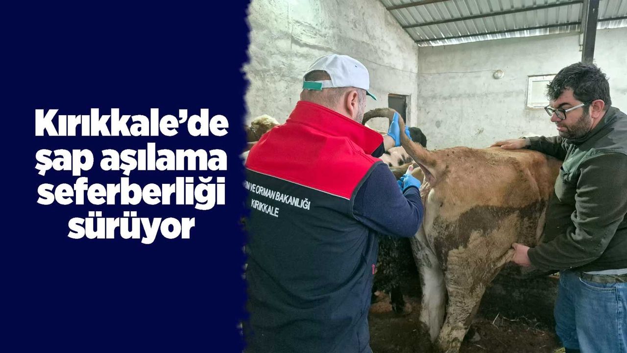 kirikkale’de-sap-asilama-seferberligi-suruyor