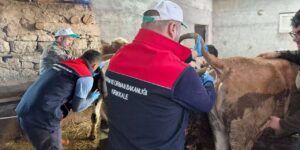 kirikkale’de-sap-asisi-alarmi:-ilkbahar-programinda-hedef-yuzde-yuz-basari!