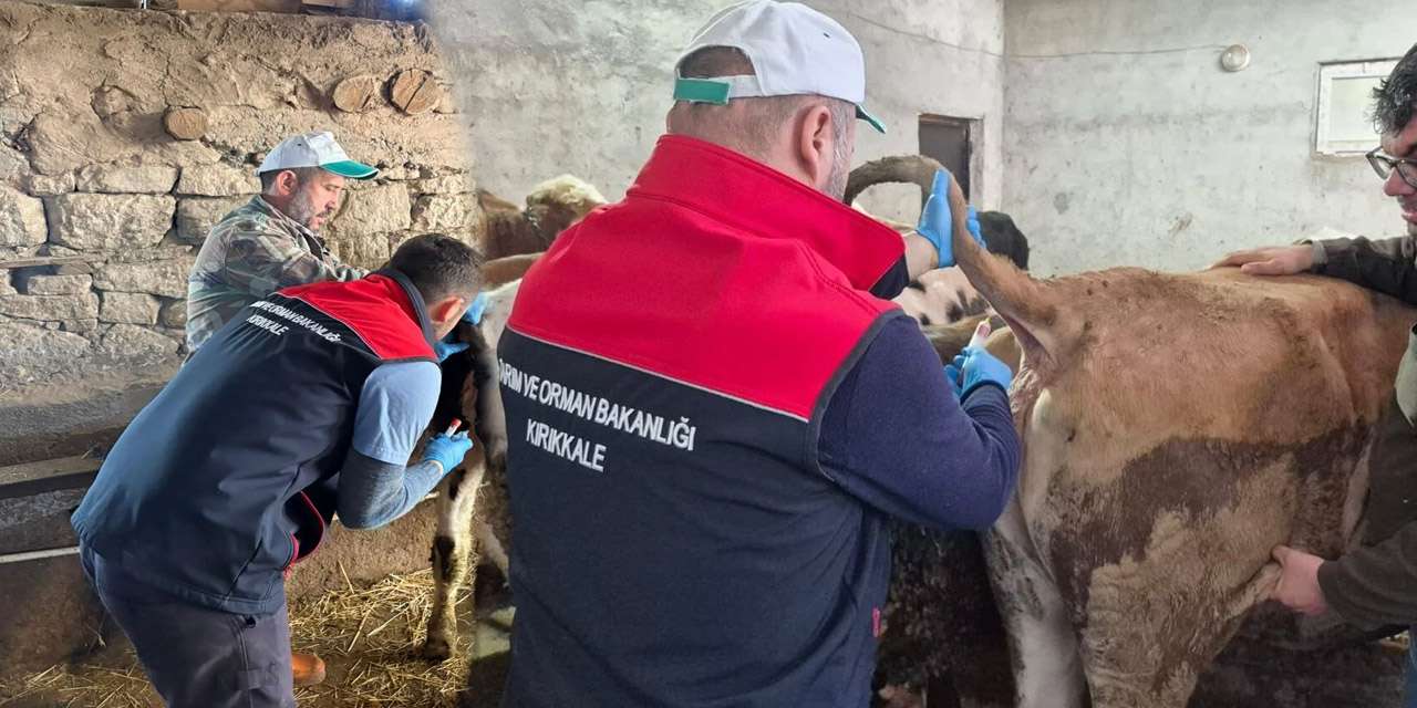 kirikkale’de-sap-asisi-alarmi:-ilkbahar-programinda-hedef-yuzde-yuz-basari!