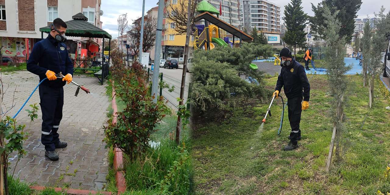 mesire-alanlarinda-kene-operasyonu:-kirikkale-belediyesi-ekipleri-tetikte!
