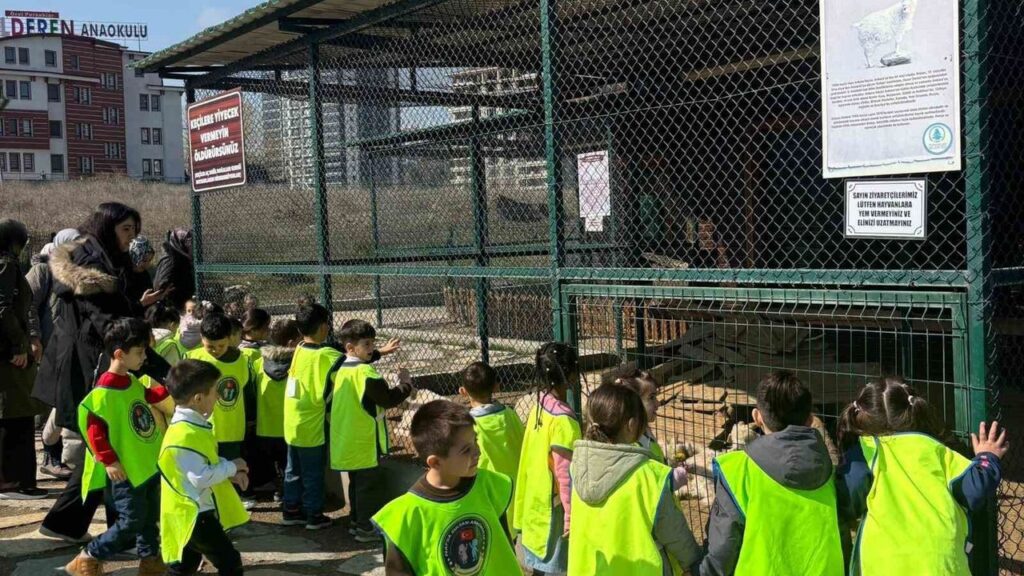 minikler-icin-dogada-eglence-ve-egitim-bir-arada