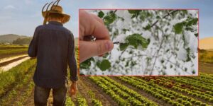 kirikkaleli-ciftcilere-acil-uyari:-tedbirinizi-alin