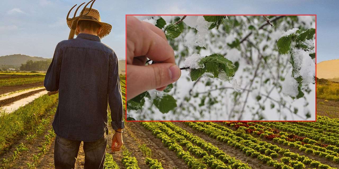 kirikkaleli-ciftcilere-acil-uyari:-tedbirinizi-alin